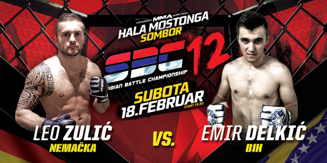 Leo Zulić vs Emir Delkić